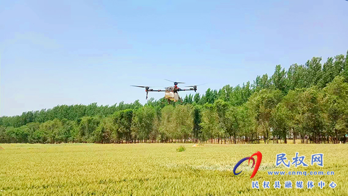孫六鎮：無人機“飛防” 助農提質增效