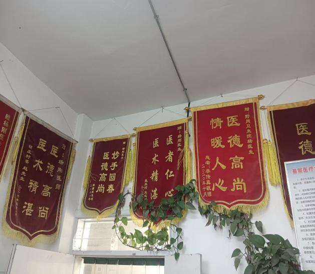 身殘志堅守初心 醫者仁心暖鄉鄰 ——記野崗鎮衛生院副主任醫師楊剛